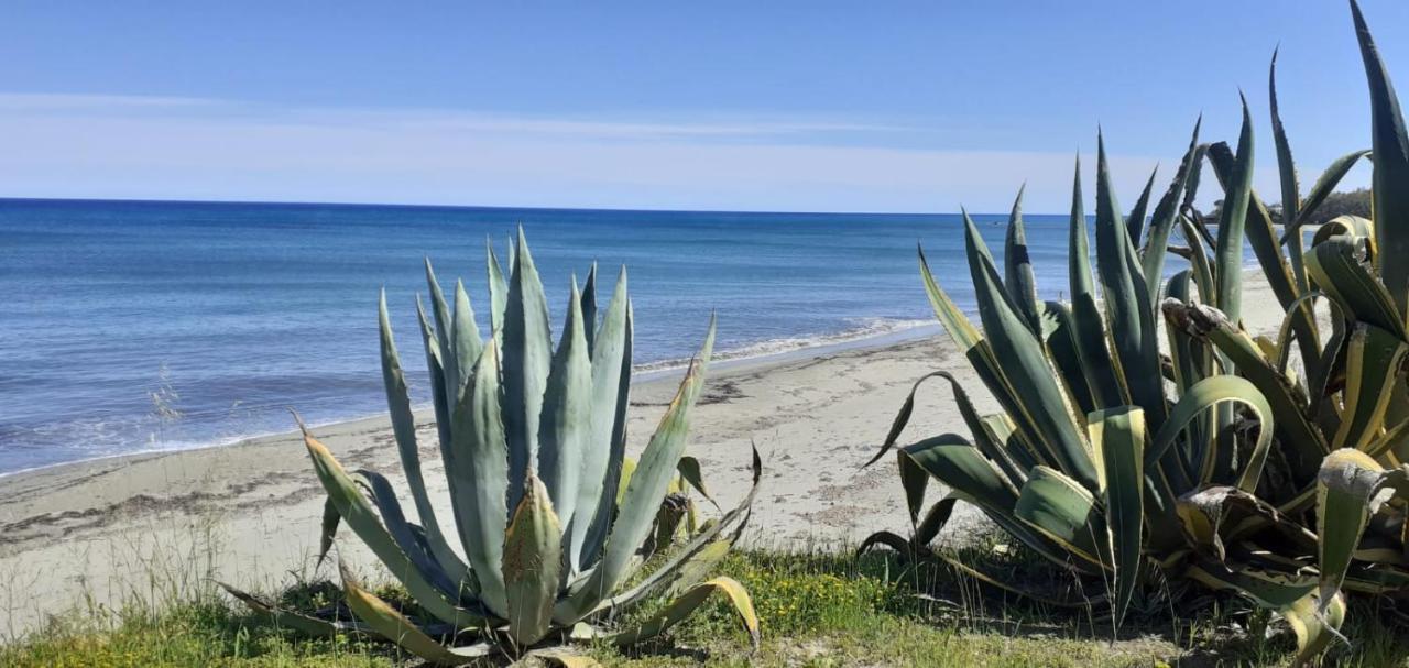 Residence Sognu Di Mare - Plage Linguizzetta Kültér fotó