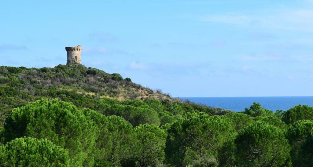 Residence Sognu Di Mare - Plage Linguizzetta Kültér fotó