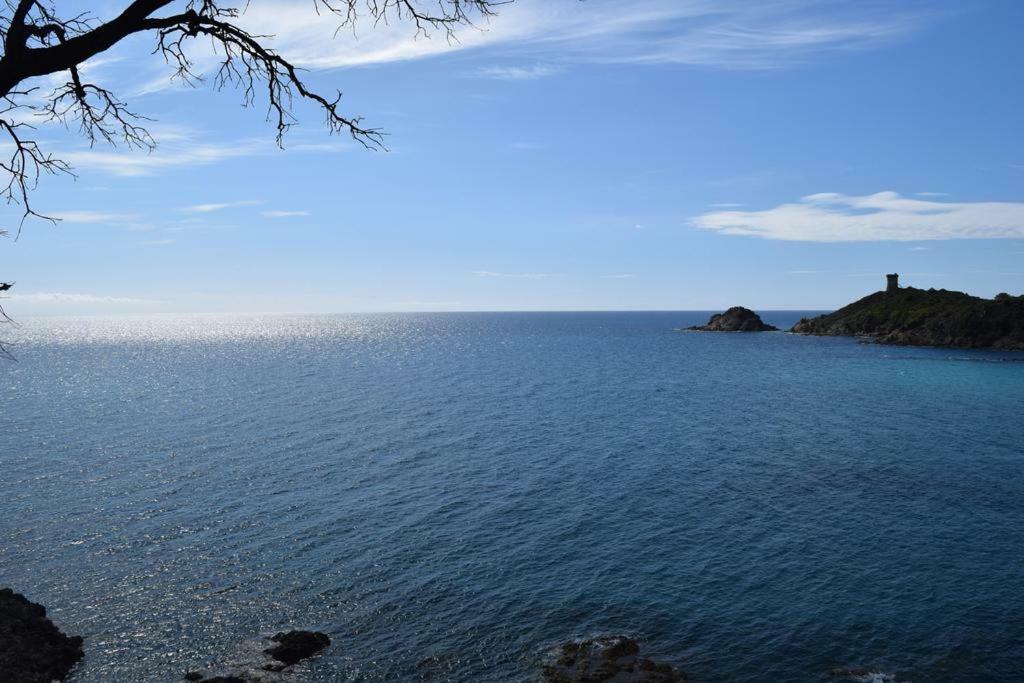 Residence Sognu Di Mare - Plage Linguizzetta Kültér fotó